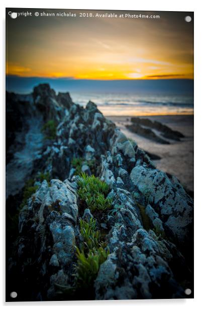Rocks On Croyde Bay Beach Acrylic by Shawn Nicholas