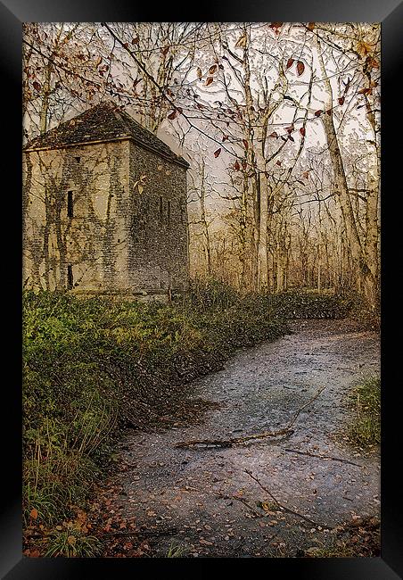Woodland Hideaway Framed Print by Karen Martin