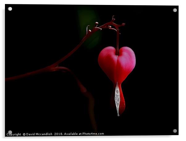 Symbol of Love Acrylic by David Mccandlish