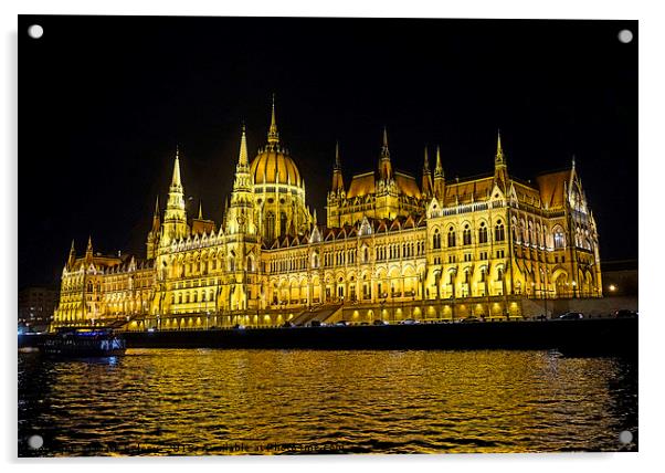 Hungarian Parliament at night                      Acrylic by Mark Seleny