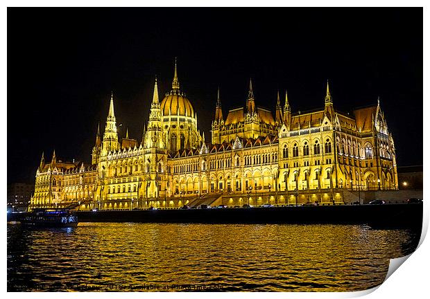 Hungarian Parliament at night                      Print by Mark Seleny