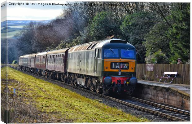D1501 train at irwell vale Canvas Print by Derrick Fox Lomax