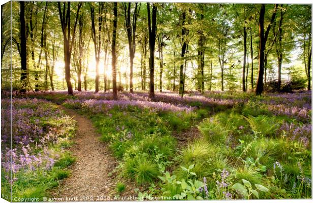Bluebell woods with birds flocking  Canvas Print by Simon Bratt LRPS