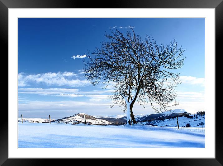 Tree on the hill Framed Mounted Print by David (Dai) Meacham