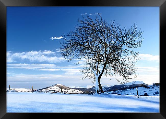 Tree on the hill Framed Print by David (Dai) Meacham