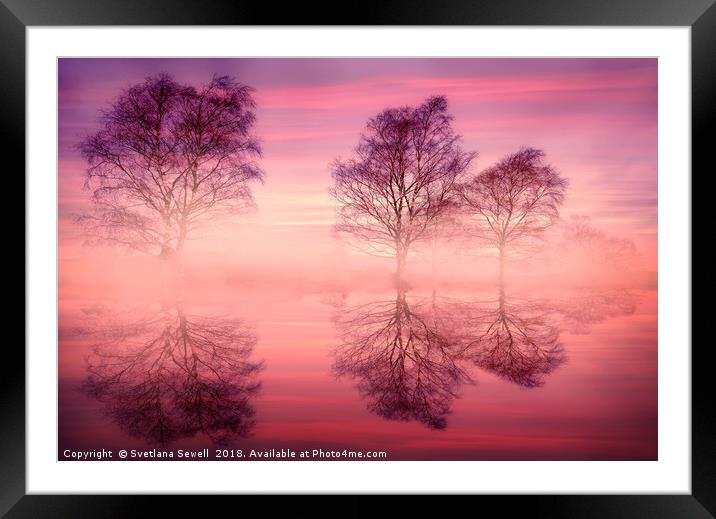 Pink Fog Framed Mounted Print by Svetlana Sewell