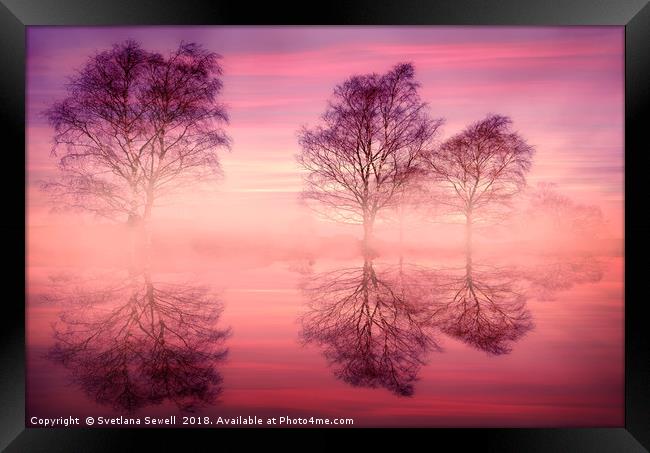 Pink Fog Framed Print by Svetlana Sewell