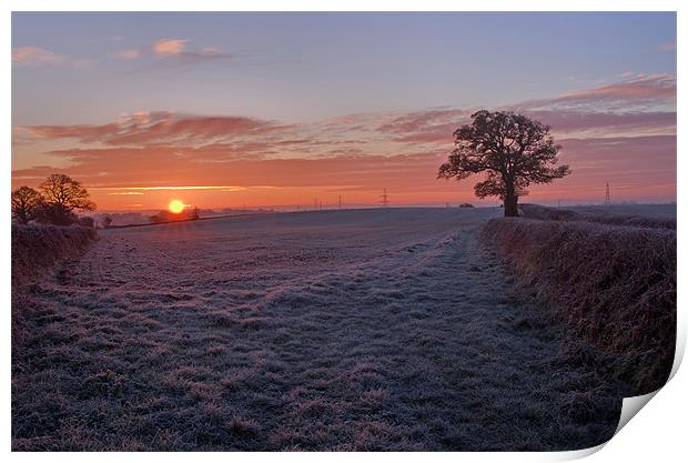 Frosty Sunrise Print by Pete Hemington