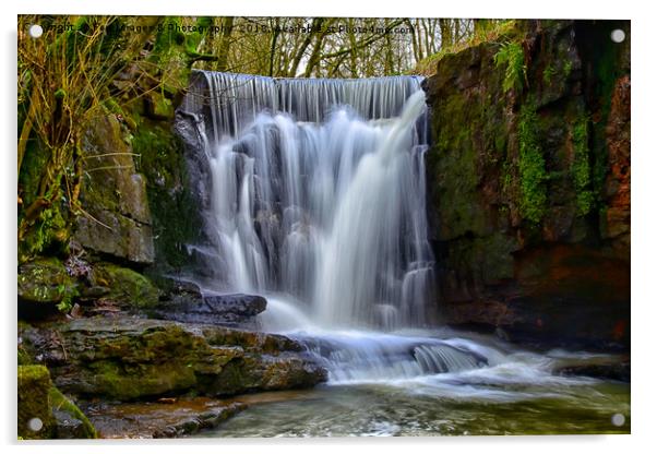 Dearden clough waterfall Acrylic by Derrick Fox Lomax