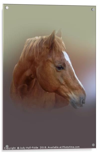 Portrait of a Horse Acrylic by Judy Hall-Folde