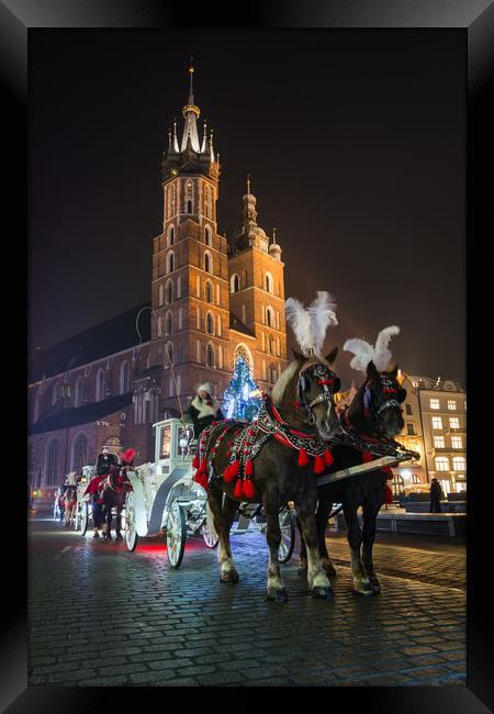 Krakow Carriage Rides Framed Print by Daniel Farrington