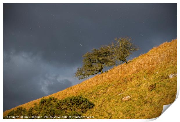 Hawthorn Trees and Falling Snow Brecon Beacons Print by Nick Jenkins