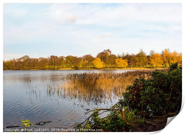 Derbyshire lake Print by PAUL OLBISON