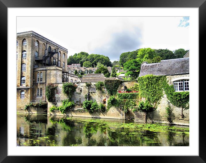 Along The River Avon Framed Mounted Print by Nicola Clark