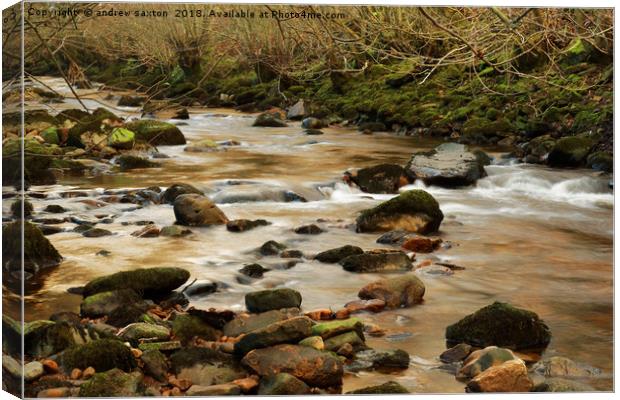 SHALLOW SWALE Canvas Print by andrew saxton