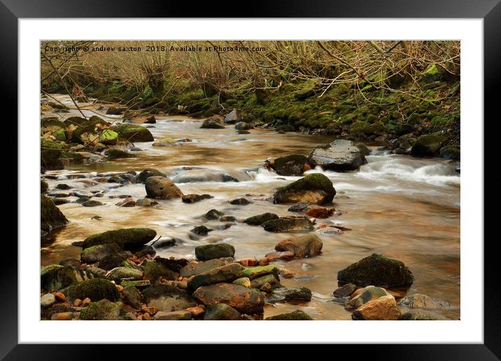 SHALLOW SWALE Framed Mounted Print by andrew saxton
