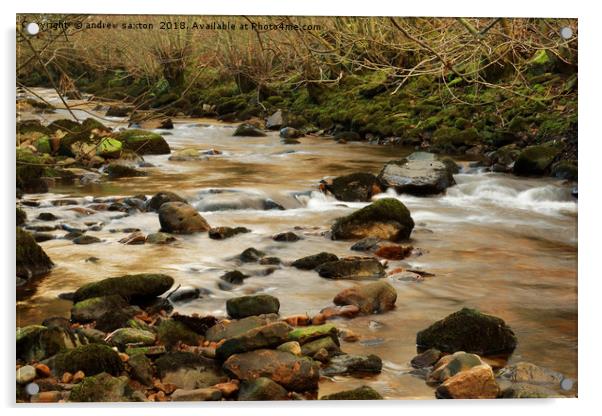 SHALLOW SWALE Acrylic by andrew saxton