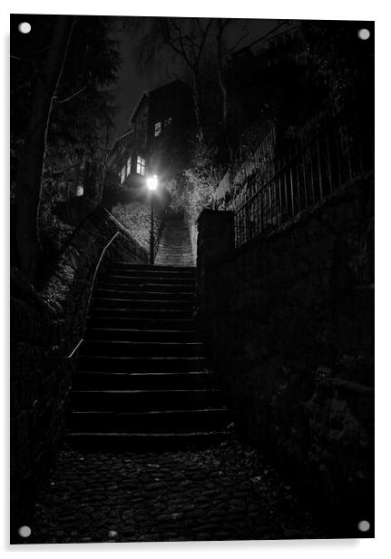 Gallon Steps Knaresborough, Yorkshire Acrylic by John Hall