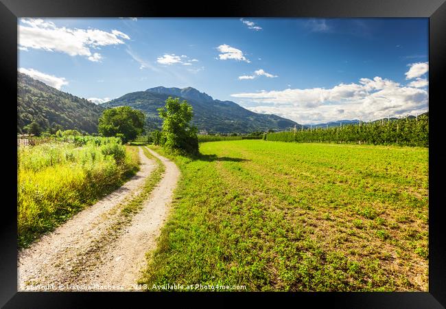 Rural road in Trento among Alps Framed Print by Natalia Macheda
