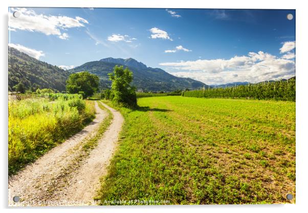 Rural road in Trento among Alps Acrylic by Natalia Macheda