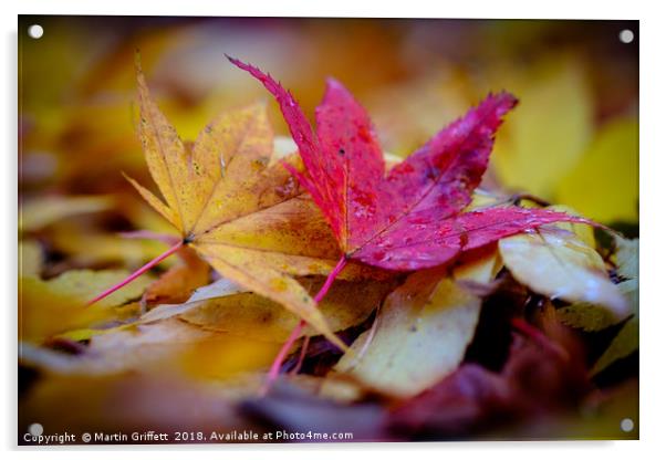 Autumn Colours Acrylic by Martin Griffett