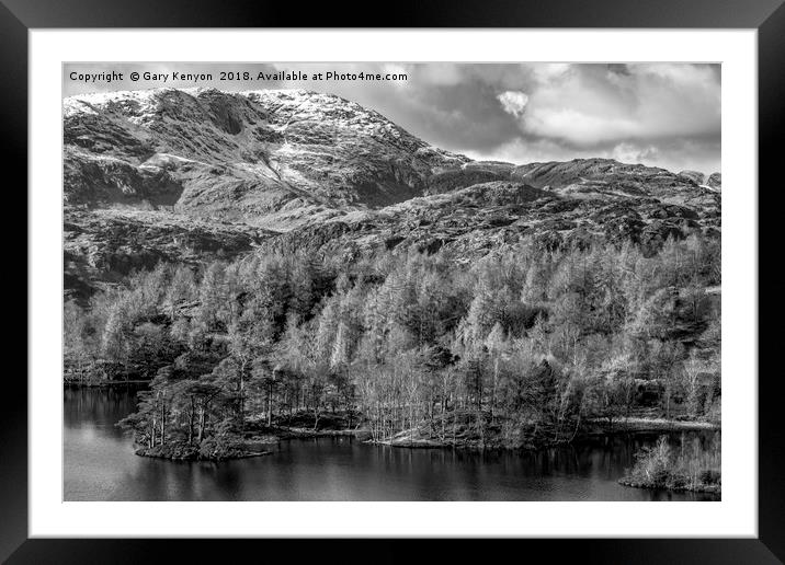 Tarn Hows Trees Framed Mounted Print by Gary Kenyon