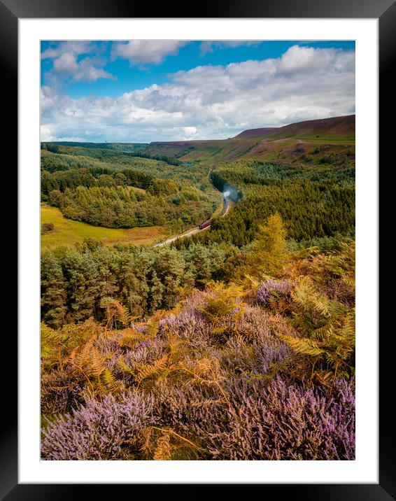 Newton Dale North Yorkshire Framed Mounted Print by Rick Bowden