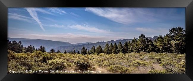 California landscape Framed Print by Claire Turner