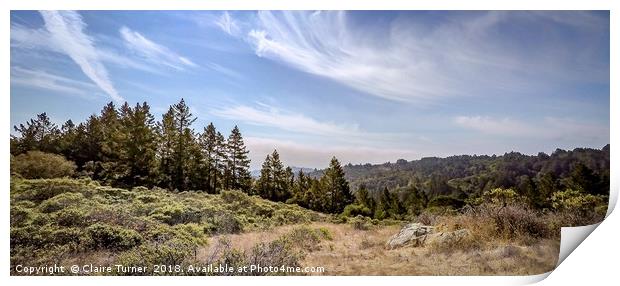 Marin county landscape Print by Claire Turner