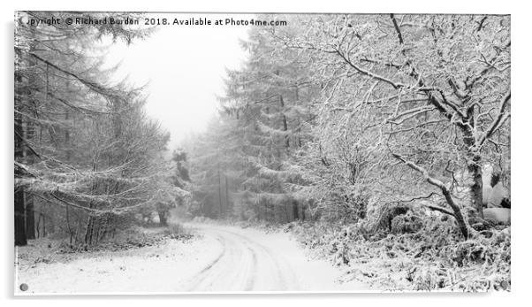 Winter Woodland Acrylic by Richard Burdon