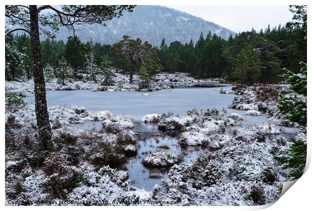 Frozen lochan Print by Angus McComiskey