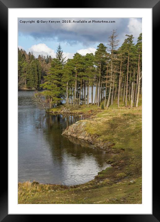 Tarn Hows Trees Framed Mounted Print by Gary Kenyon