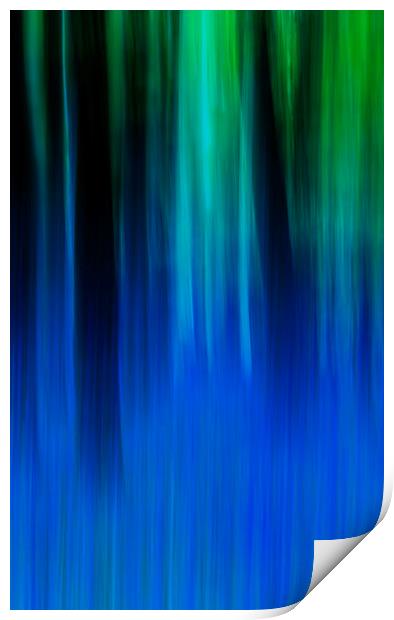 Bluebell Panned Abstract Print by Maggie McCall