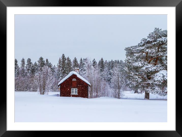 Snow in Sweden Framed Mounted Print by Hamperium Photography