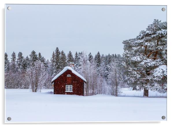 Snow in Sweden Acrylic by Hamperium Photography