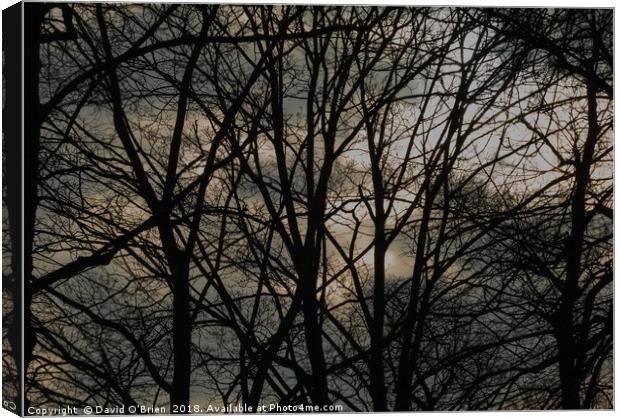 Brooding Winter Sky Canvas Print by David O'Brien