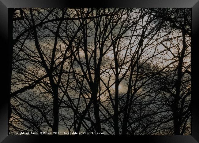 Brooding Winter Sky Framed Print by David O'Brien