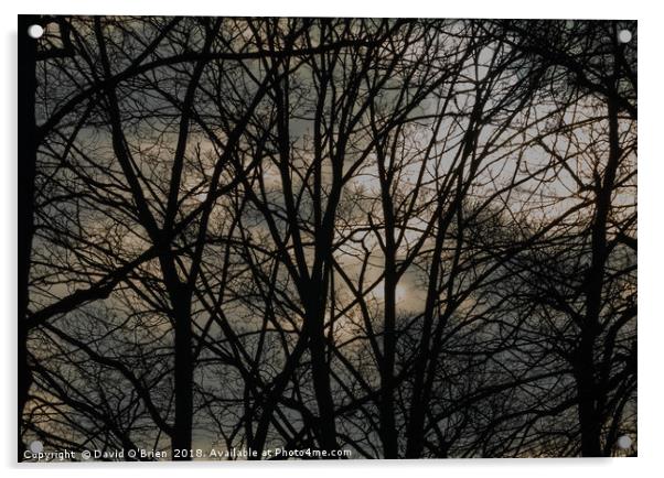 Brooding Winter Sky Acrylic by David O'Brien