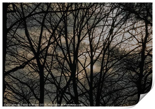 Brooding Winter Sky Print by David O'Brien