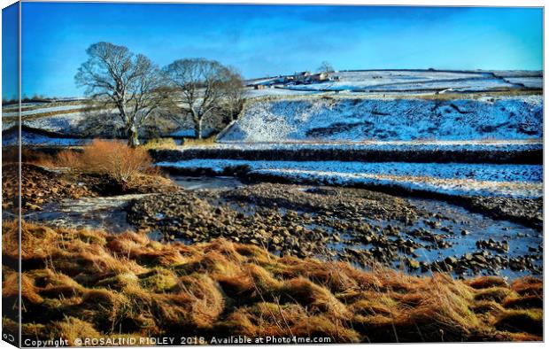 "Sunshine and snow" Canvas Print by ROS RIDLEY