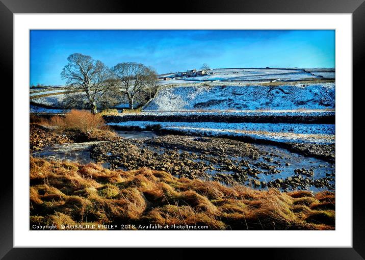 "Sunshine and snow" Framed Mounted Print by ROS RIDLEY