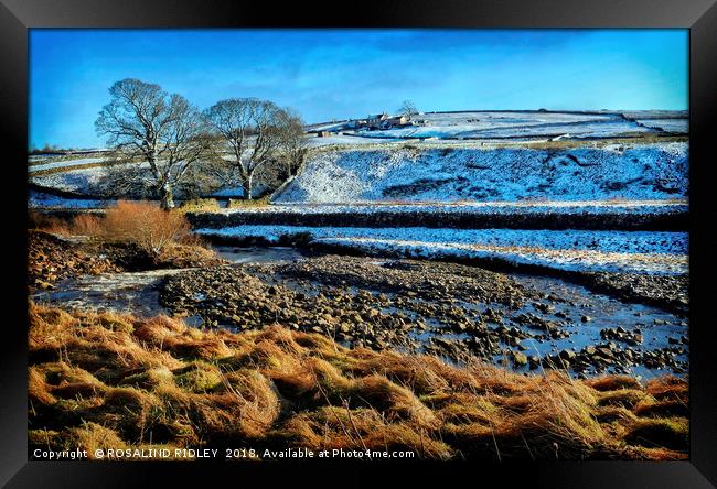 "Sunshine and snow" Framed Print by ROS RIDLEY