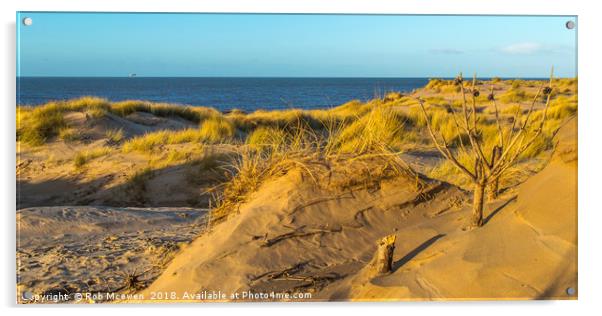 Formby sand dunes,Formby UK Acrylic by Rob Mcewen