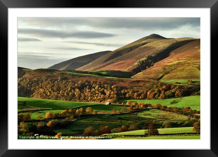 Autumn's Golden Touch on Skiddaw Framed Mounted Print by Philip Veale