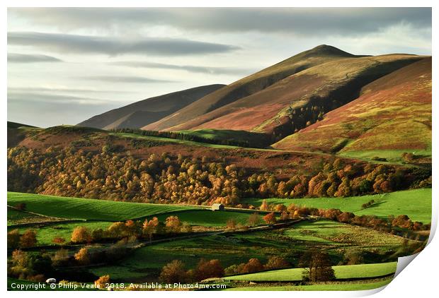 Autumn's Golden Touch on Skiddaw Print by Philip Veale