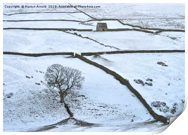 Weardale Winter Landscape Print by Martyn Arnold