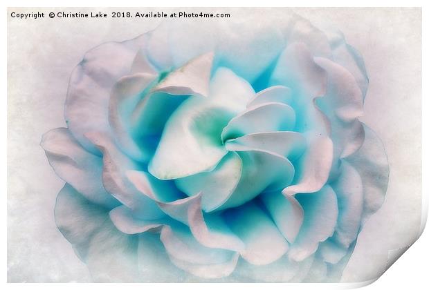 Shades Of Blue Print by Christine Lake