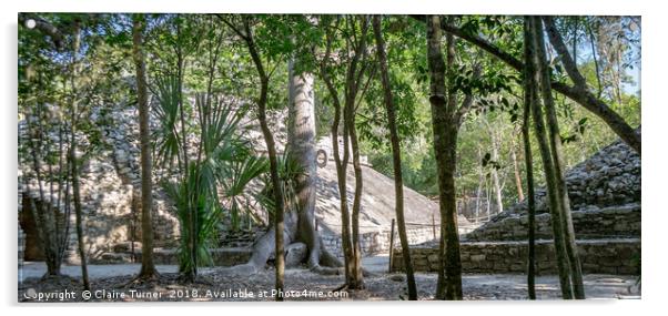 Mayan ruins at Coba Acrylic by Claire Turner