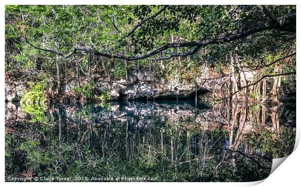 Cenote Angelita Print by Claire Turner