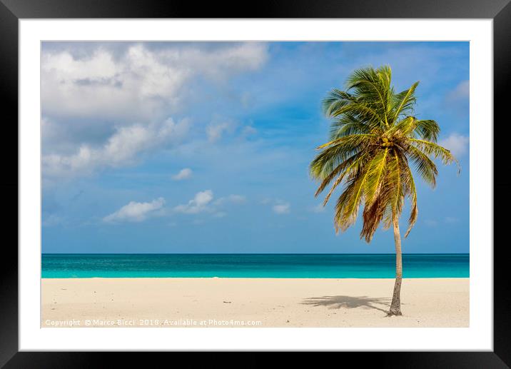 Palm tree alone on the white sand of the Eagle Bea Framed Mounted Print by Marco Bicci